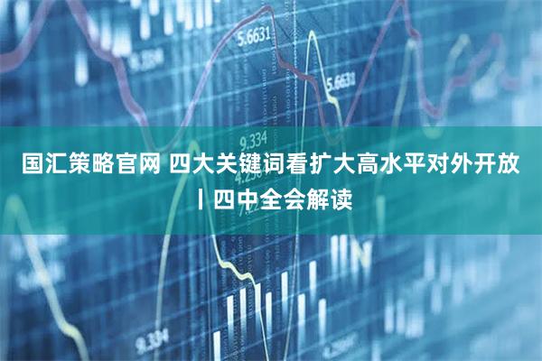 国汇策略官网 四大关键词看扩大高水平对外开放丨四中全会解读