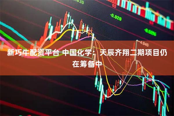新巧牛配资平台 中国化学：天辰齐翔二期项目仍在筹备中