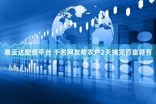 易云达配资平台 千名网友帮农户2天摘完百亩蒜苔